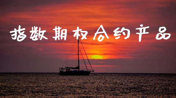 指数期权合约产品_https://wap.letulww.com_投资策略_第1张