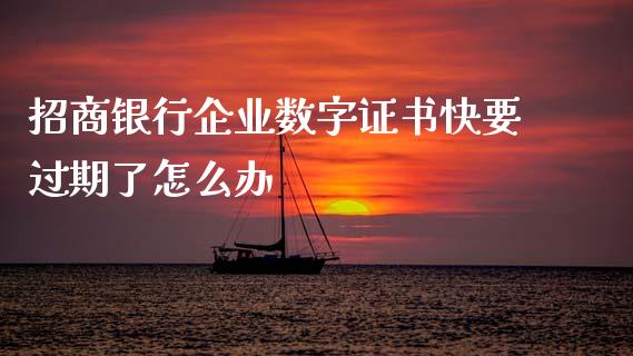 招商银行企业数字证书快要过期了怎么办_https://wap.letulww.com_外汇交易_第1张
