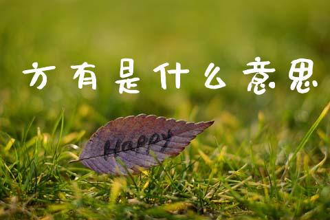 方有是什么意思_https://wap.letulww.com_融资租赁_第1张