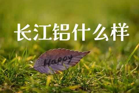 长江铝什么样_投资管理_第1张_外汇交易_投资策略_融资租赁_投资管理 长江铝什么样_https://wap.letulww.com_投资管理_第1张