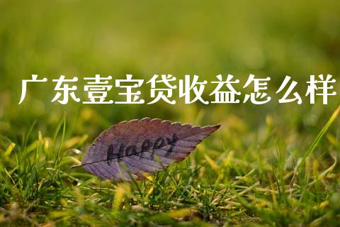 广东壹宝贷收益怎么样_https://wap.letulww.com_投资管理_第1张