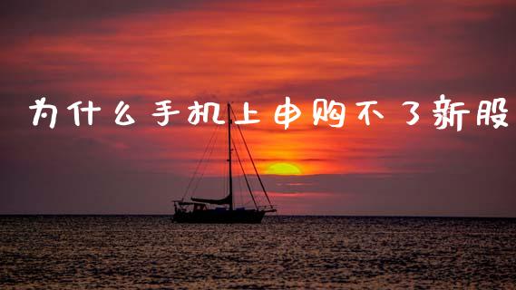 为什么手机上申购不了新股_https://wap.letulww.com_投资管理_第1张