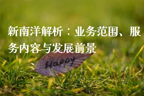 新南洋解析：业务范围、服务内容与发展前景_https://wap.letulww.com_投资管理_第1张