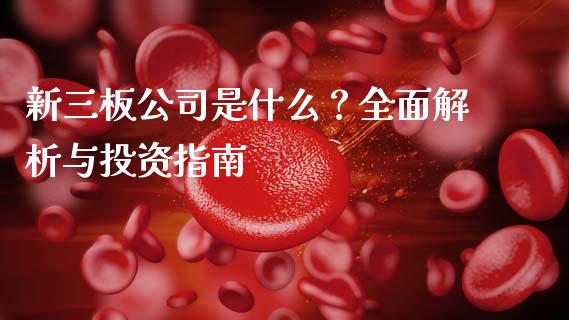新三板公司是什么？全面解析与投资指南_https://wap.letulww.com_投资策略_第1张