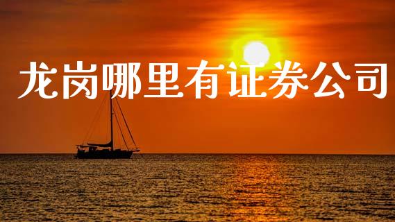 龙岗哪里有证券公司_https://wap.letulww.com_投资策略_第1张