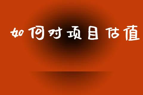 如何对项目估值_https://wap.letulww.com_投资策略_第1张