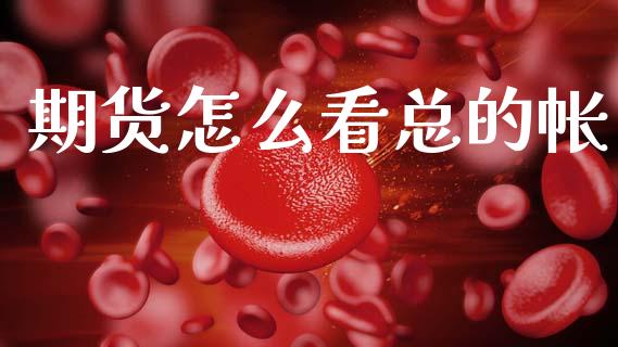 期货怎么看总的帐_https://wap.letulww.com_投资管理_第1张