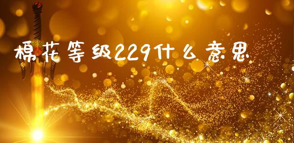 棉花等级229什么意思_https://wap.letulww.com_投资策略_第1张
