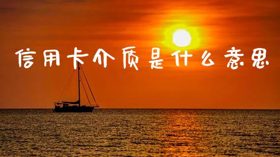 信用卡介质是什么意思_https://wap.letulww.com_融资租赁_第1张