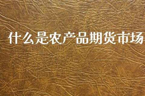 什么是农产品期货市场_https://wap.letulww.com_投资管理_第1张