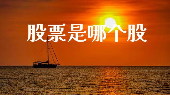 股票是哪个股_https://wap.letulww.com_投资管理_第1张