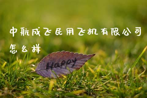 中航成飞民用飞机有限公司怎么样_https://wap.letulww.com_投资管理_第1张