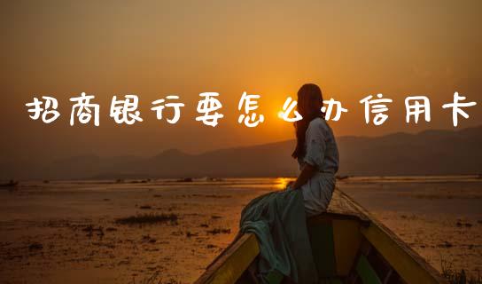 招商银行要怎么办信用卡_https://wap.letulww.com_融资租赁_第1张