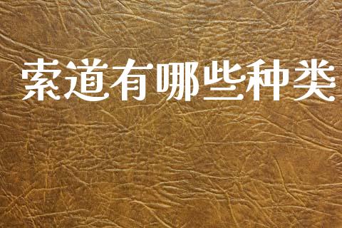 索道有哪些种类_https://wap.letulww.com_融资租赁_第1张