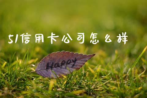 51信用卡公司怎么样_https://wap.letulww.com_投资策略_第1张