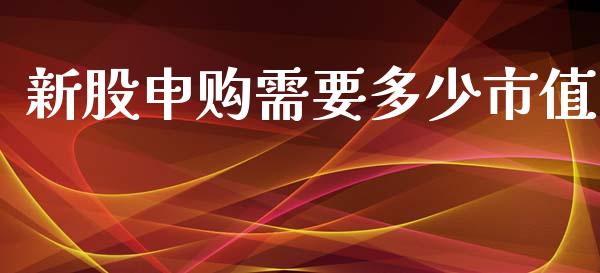 新股申购需要多少市值_https://wap.letulww.com_外汇交易_第1张