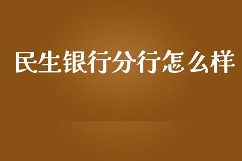 民生银行分行怎么样_https://wap.letulww.com_投资管理_第1张
