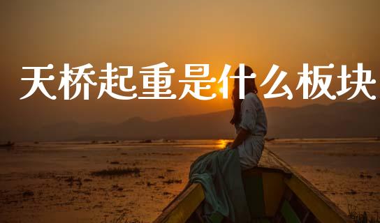 天桥起重是什么板块_https://wap.letulww.com_投资管理_第1张