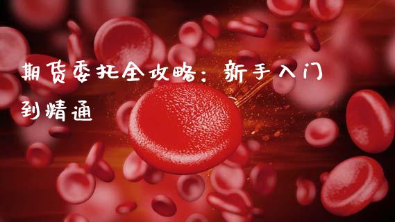 期货委托全攻略:新手入门到精通_投资策略_第1张_外汇交易_投资策略_融资租赁_投资管理 期货委托全攻略:新手入门到精通_https://wap.letulww.com_投资策略_第1张