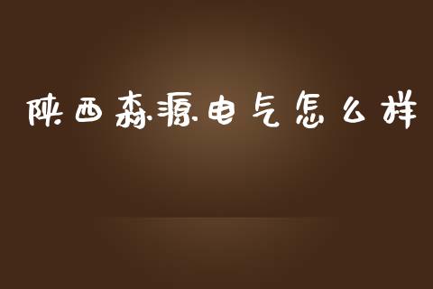 陕西森源电气怎么样_https://wap.letulww.com_投资策略_第1张