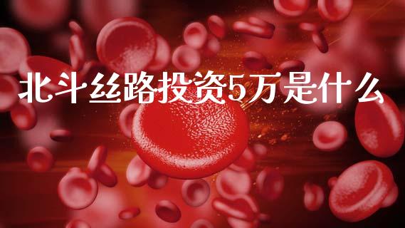 北斗丝路投资5万是什么_https://wap.letulww.com_投资管理_第1张