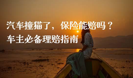 汽车撞猫了，保险能赔吗？车主必备理赔指南_https://wap.letulww.com_投资管理_第1张