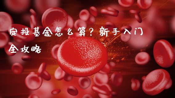 定投基金怎么算？新手入门全攻略_https://wap.letulww.com_外汇交易_第1张