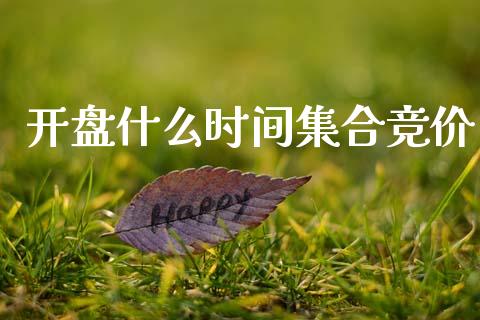 开盘什么时间集合竞价_投资策略_第1张_外汇交易_投资策略_融资租赁_投资管理 开盘什么时间集合竞价_https://wap.letulww.com_投资策略_第1张