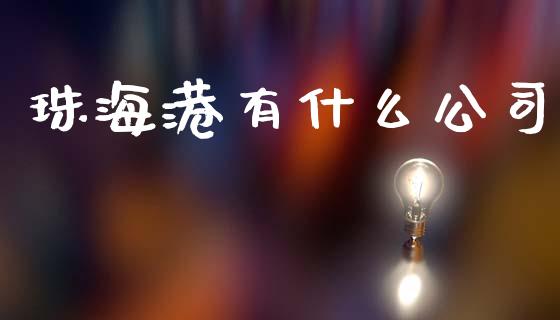 珠海港有什么公司_https://wap.letulww.com_投资管理_第1张