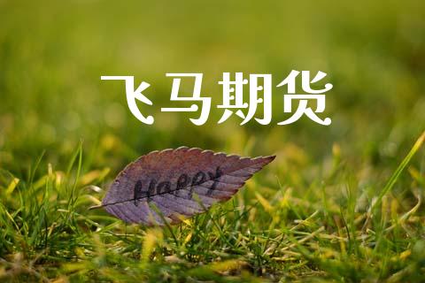 飞马期货_https://wap.letulww.com_外汇交易_第1张