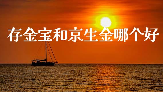 存金宝和京生金哪个好_https://wap.letulww.com_融资租赁_第1张