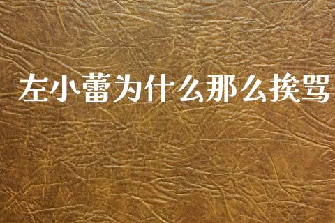 左小蕾为什么那么挨骂_https://wap.letulww.com_投资管理_第1张