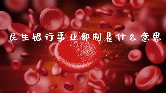 民生银行事业部制是什么意思_https://wap.letulww.com_投资管理_第1张