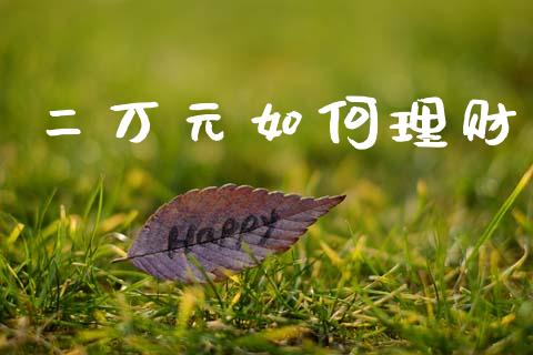 二万元如何理财_https://wap.letulww.com_融资租赁_第1张