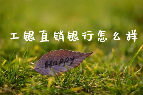 工银直销银行怎么样_https://wap.letulww.com_外汇交易_第1张