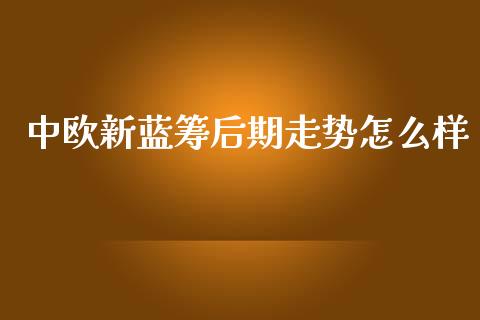 中欧新蓝筹后期走势怎么样_https://wap.letulww.com_投资管理_第1张