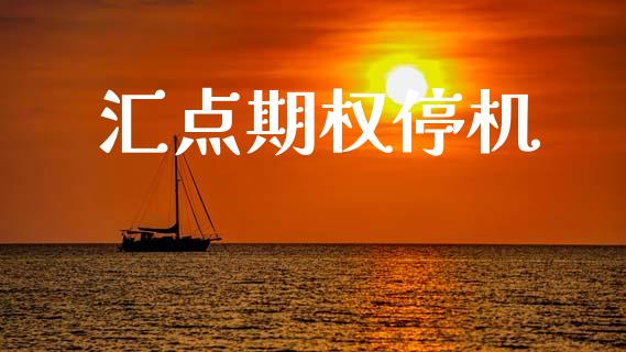 汇点期权停机_https://wap.letulww.com_投资策略_第1张