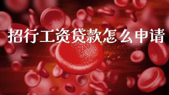 招行工资贷款怎么申请_https://wap.letulww.com_外汇交易_第1张