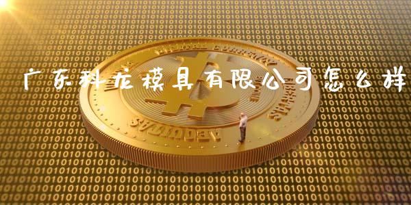 广东科龙模具有限公司怎么样_https://wap.letulww.com_投资管理_第1张