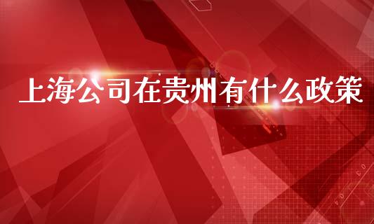 上海公司在贵州有什么政策_https://wap.letulww.com_外汇交易_第1张