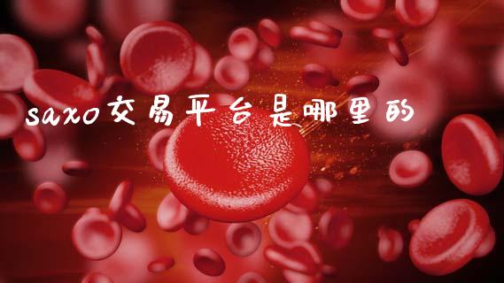 saxo交易平台是哪里的_https://wap.letulww.com_融资租赁_第1张