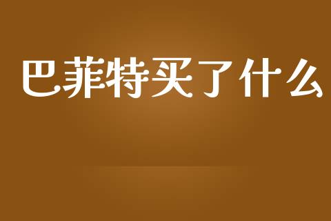 巴菲特买了什么_https://wap.letulww.com_外汇交易_第1张