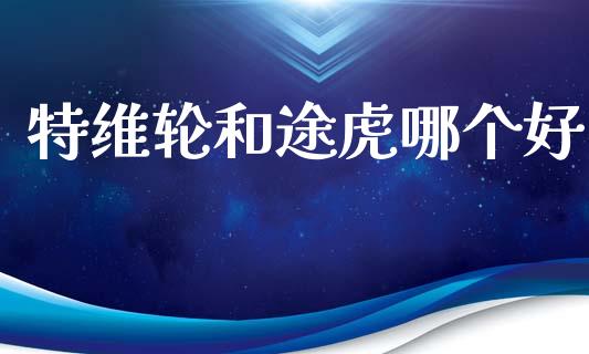 特维轮和途虎哪个好_https://wap.letulww.com_外汇交易_第1张