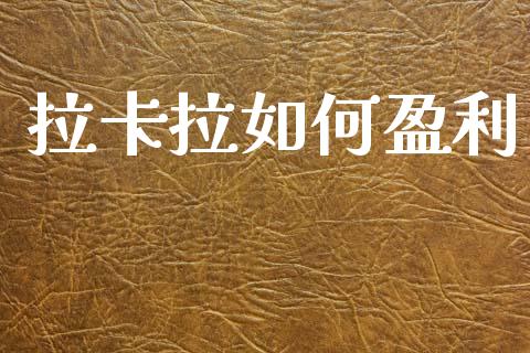 拉卡拉如何盈利_https://wap.letulww.com_投资管理_第1张
