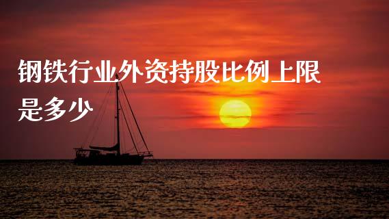 钢铁行业外资持股比例上限是多少_https://wap.letulww.com_投资管理_第1张