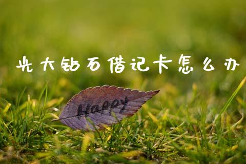 光大钻石借记卡怎么办_https://wap.letulww.com_投资管理_第1张