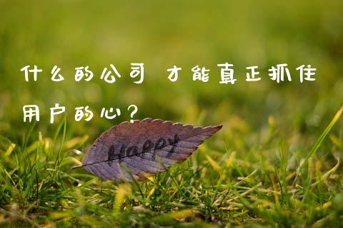 什么的公司 才能真正抓住用户的心？_https://wap.letulww.com_融资租赁_第1张