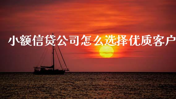 小额信贷公司怎么选择优质客户_https://wap.letulww.com_投资策略_第1张