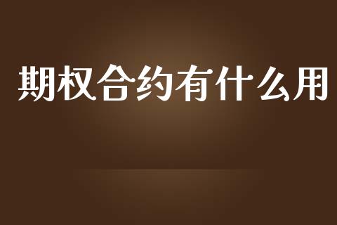 期权合约有什么用_https://wap.letulww.com_融资租赁_第1张