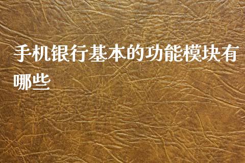 手机银行基本的功能模块有哪些_https://wap.letulww.com_投资管理_第1张